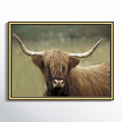 Joss & Main Highland Afternoon by Danita Delimont - Picture Frame Photograph 18.25 H x 24.25 W x 0.88 D in in Gold Framed